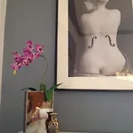 Ay